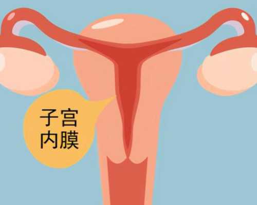 私立医院做供卵试管&找一个代孕要所少钱,武汉三代试管供卵费用一个周期需