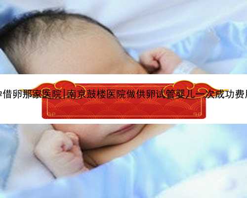 南京试管代孕借卵那家医院|南京鼓楼医院做供卵试管婴儿一次成功费用大概多