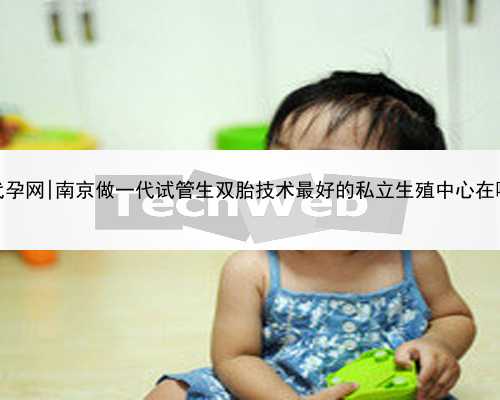 南京代孕网|南京做一代试管生双胎技术最好的私立生殖中心在哪里？