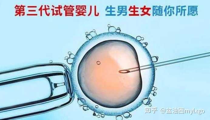 广州一商业机构为男性提供代孕服务被查：可与客户共同生活_生男生女清宫图